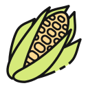 Corn 