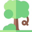 Árbol 