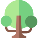 Árbol 