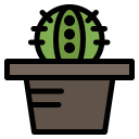 cactus icon