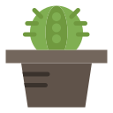 cactus icon