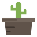 cactus icon