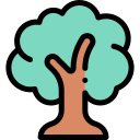 Árbol icon