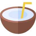 bebida de coco icon