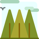 bosque icon