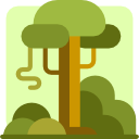 selva icon