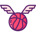 flügel icon