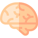 Brain 