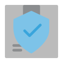 seguridad icon