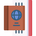 pasaporte icon