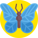 mariposa icon