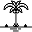 palmera icon