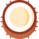 coco icon