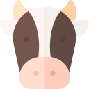 vaca