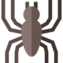 araña icon