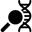 estructura de adn