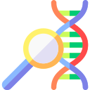 estructura de adn 