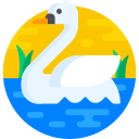 cisne icon