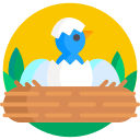 nido icon