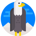 Águila icon