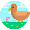 pájaro icon