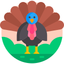 pavo icon