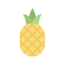 piña icon