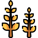 trigo icon