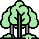 bosque icon