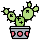 cactus icon