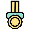 Medal 