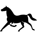 caballo de fina forma negra elegante en pose de ejecución icon