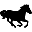 Horse In Running Motion Silhouette