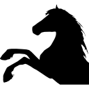 cavalo levantando pés, vista lateral, silhueta, parte da cabeça 