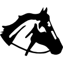 silueta de vista lateral derecha de cabeza de caballo 
