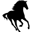 cheval en cours d'exécution silhouette vers la droite icon
