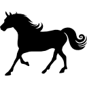 cheval avec la silhouette de la crinière bouclée icon