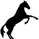 siluetta dei piedi di sollevamento del cavallo icona