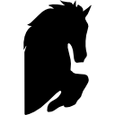 silueta de cabeza de caballo con los pies levantados hacia la derecha 