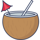 agua de coco icon