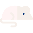 ratón icon