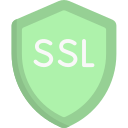 ssl icon