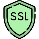 ssl icon