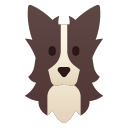 border collie icon