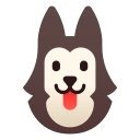 husky siberiano icon