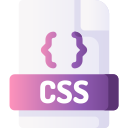 css 