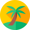 palmera icon