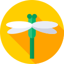 libélula icon