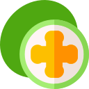 feijoa icon