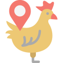 pollo icon